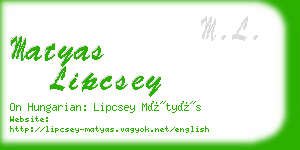 matyas lipcsey business card